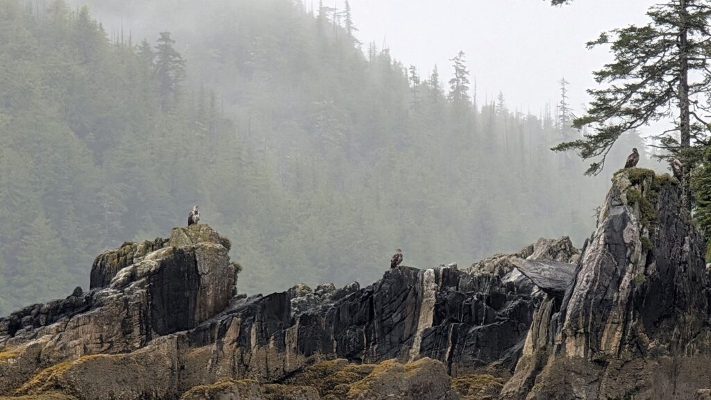 Pxl 20250713 163120634.