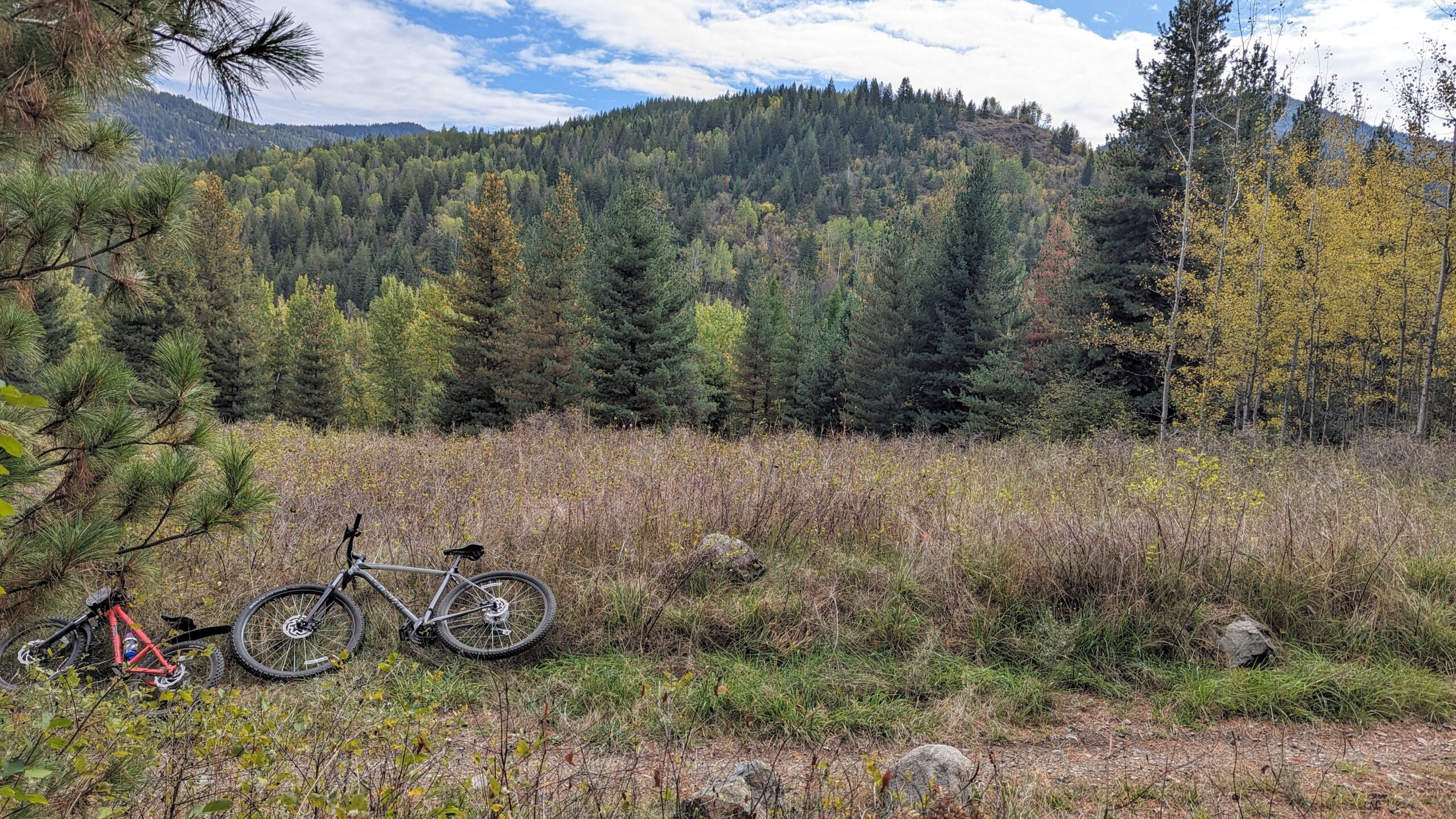 Pxl 20230930 191038033