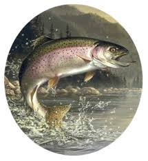 307137140 460081432823742 1901384139901236479 N