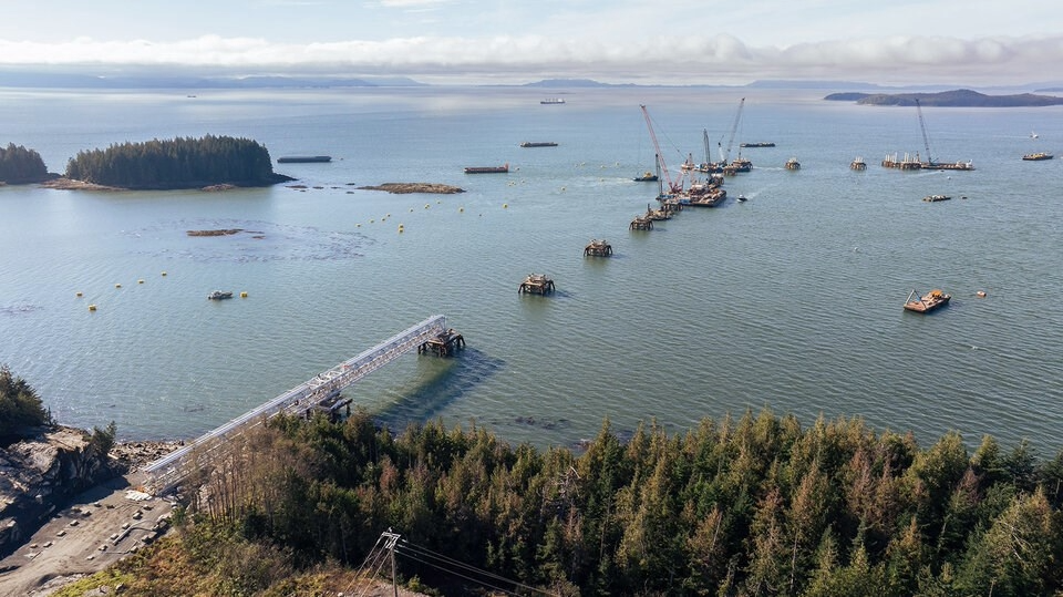 B.C. court clears path for First Nation lawsuit against port over ‘export monopoly’ | Stefan Labbé