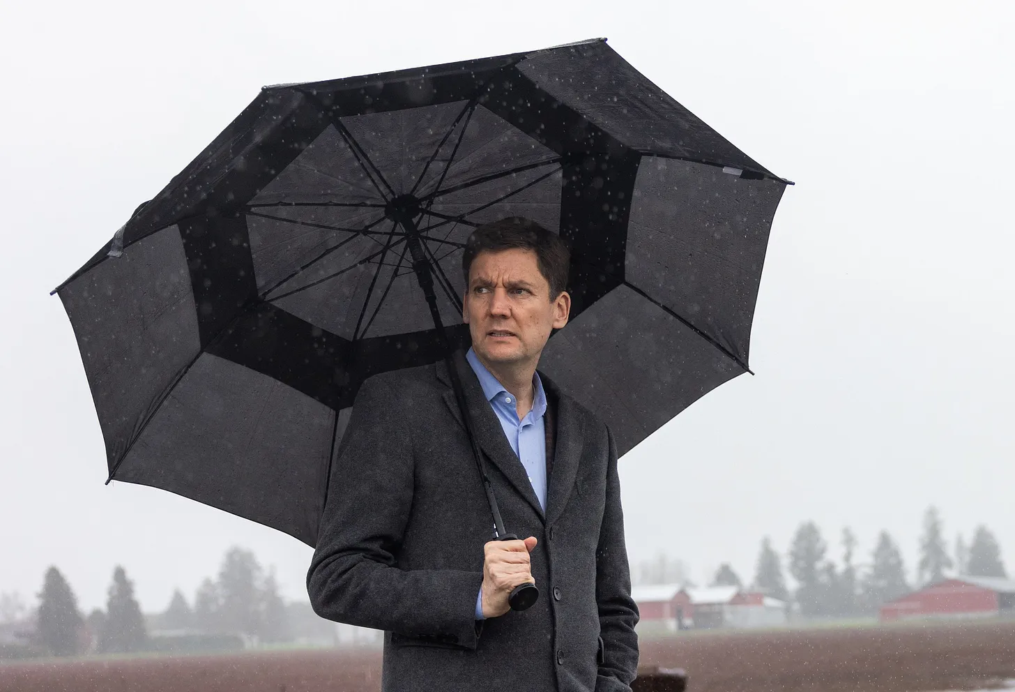 The Deceptive Undrip Scheme Is Unravelling In B.c.