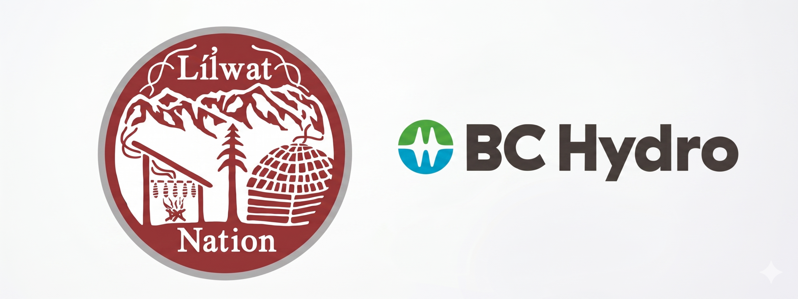 B.c. Government’s Dripa Legislation At Centre Of Court Challenge