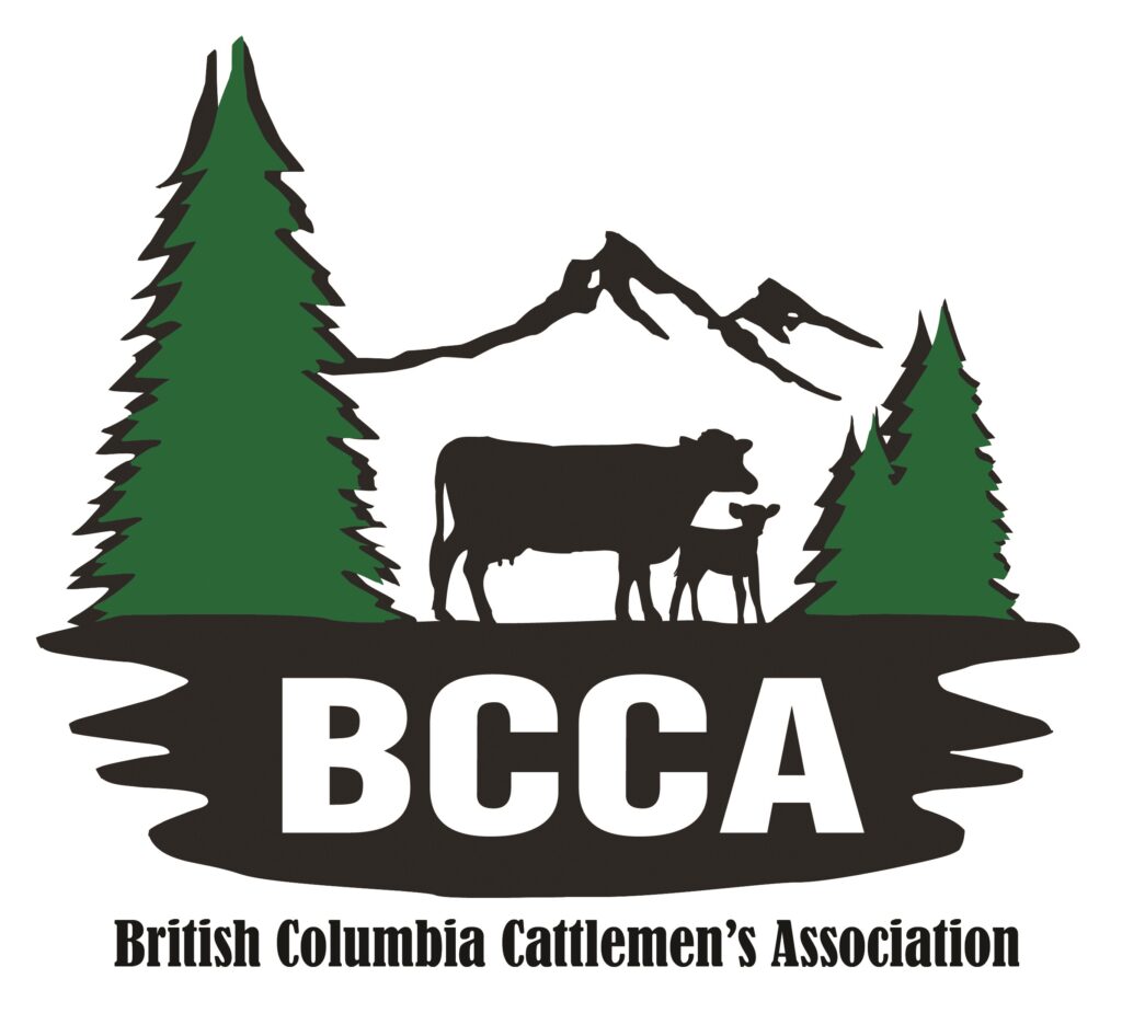 Bcca Logo & Name Colour Transp Bkgd